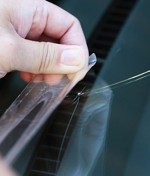 Mobile auto glass technician replacing a windshield in Tampa, FL